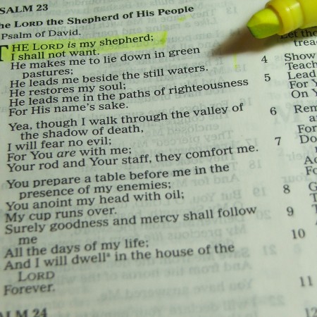 the lord is my shepherd psalms photo